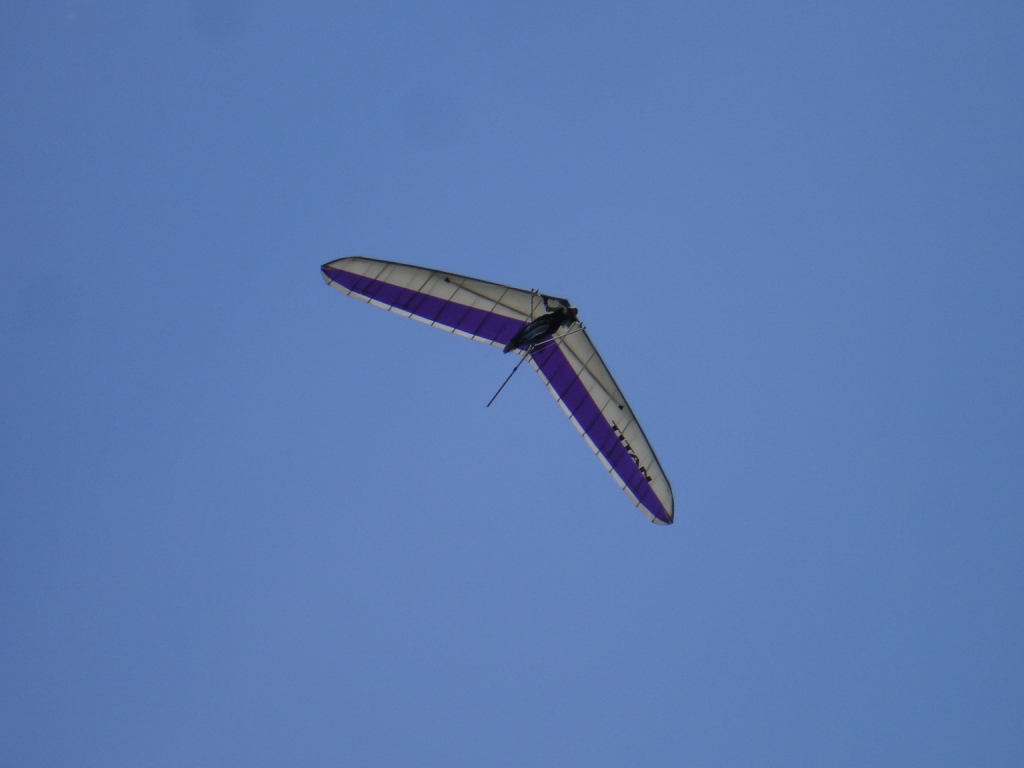 DSC09942.JPG
